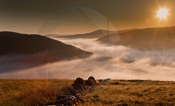 Misty Sunrise