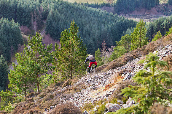 Riding the scree