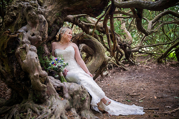 Yew trees Traquair House wedding