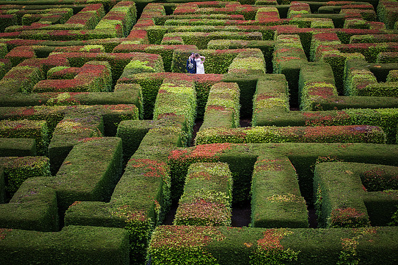 Traquair House wedding maze