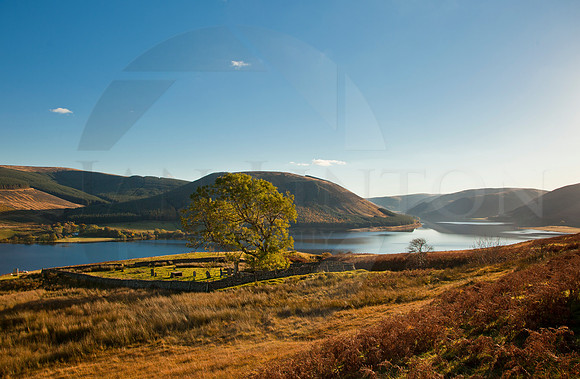 Old St Mary's Loch cemetry