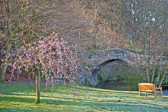 Cuddy Bridge