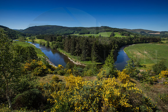 River Tweed snaking down the valley