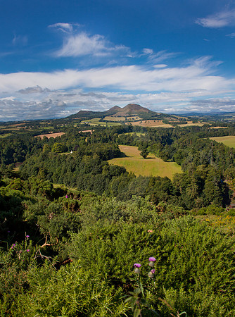The Eildens