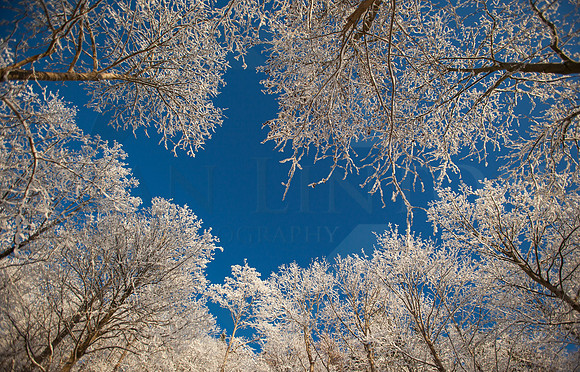 Always look up...