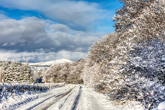 Snow covered road into Traquair