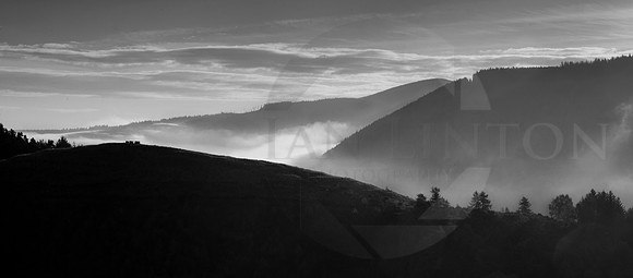 Dark misty morning